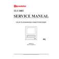 ROADSTAR TLV-1085 Service Manual